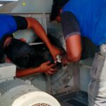 Blower bearing